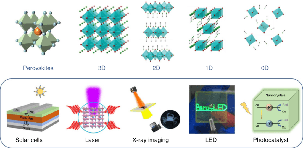 41377 2022 1010 Fig1 HTML