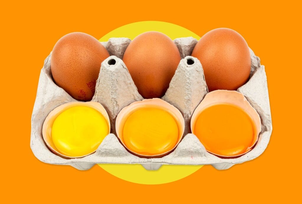 Does Egg Yolk Color Matter FT BLOG0125 df9539164f53415fb66be29641b65ebb