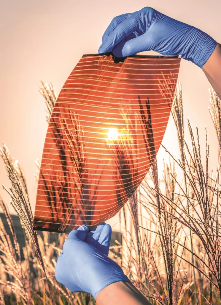 saule a4 module 1 plain.jpg