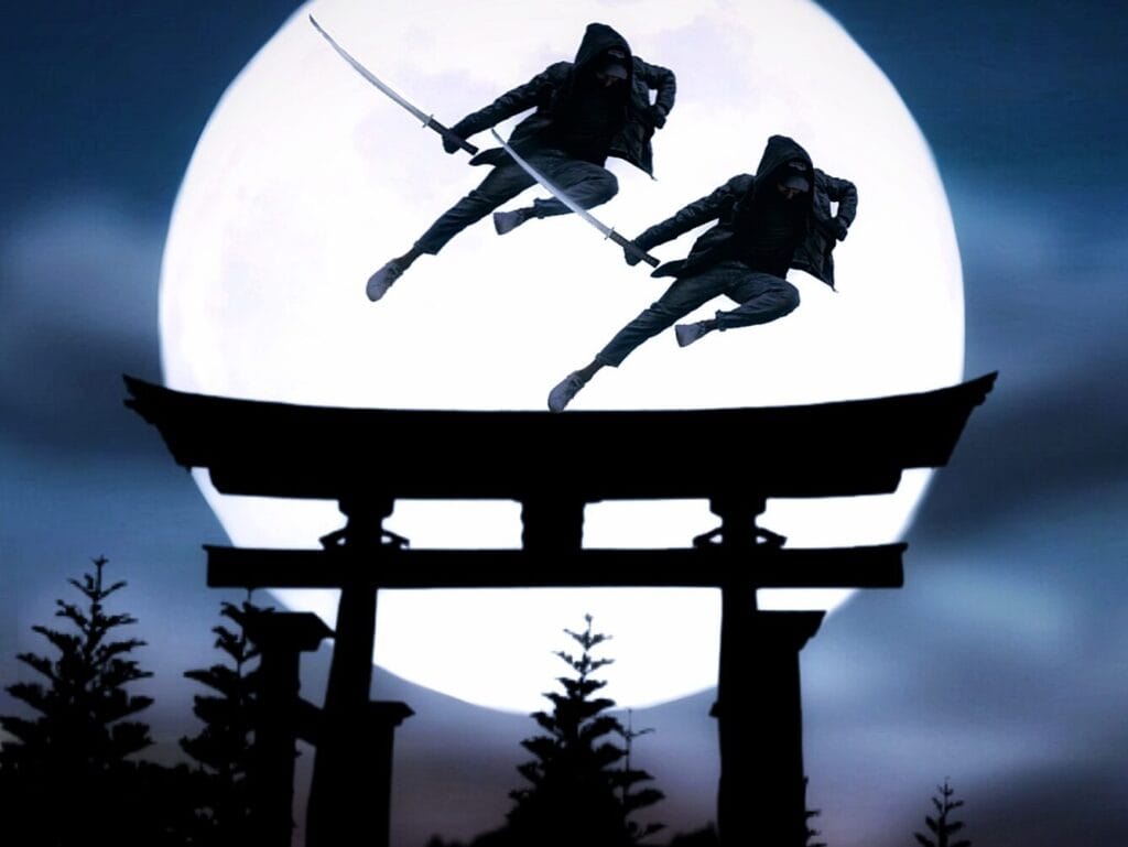ninja mission edited