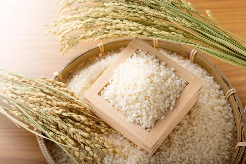 an essential guide to japanese rice everything you need to know about this crucial staple food japanese taste.jpg