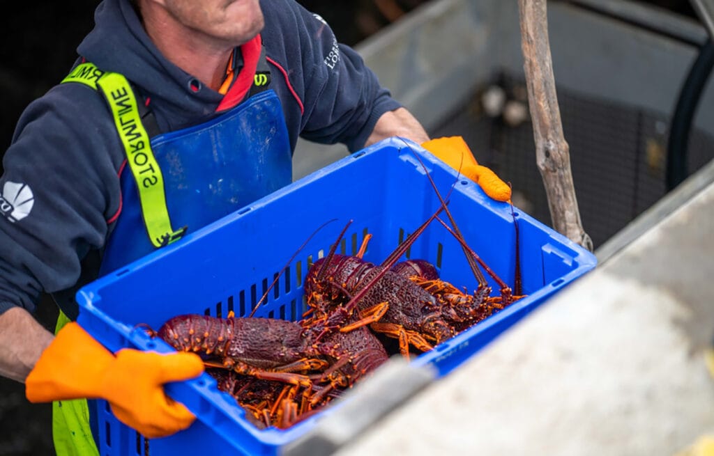 2bc5b757e09a2dd968e00b97a67ca131