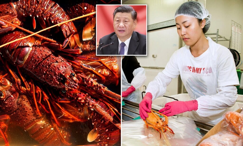 35121774 0 image a 13 1604271200649