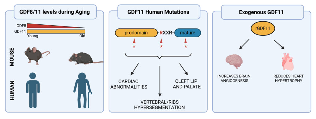 a9cf9a803775488e853569e1f699698b