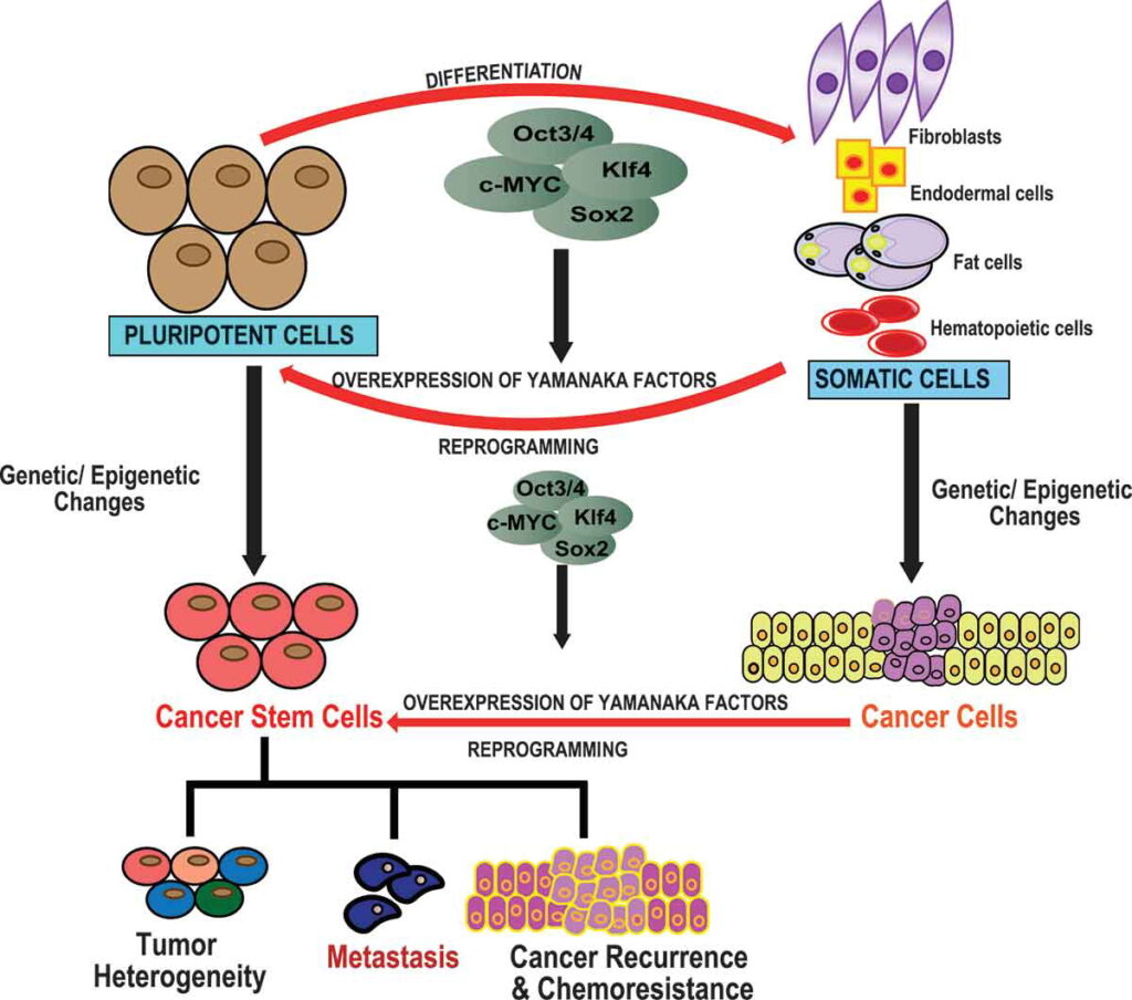 showGraphicalAbstractImage